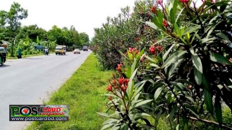 Dhaka-Chittagong highway is covered with flowers